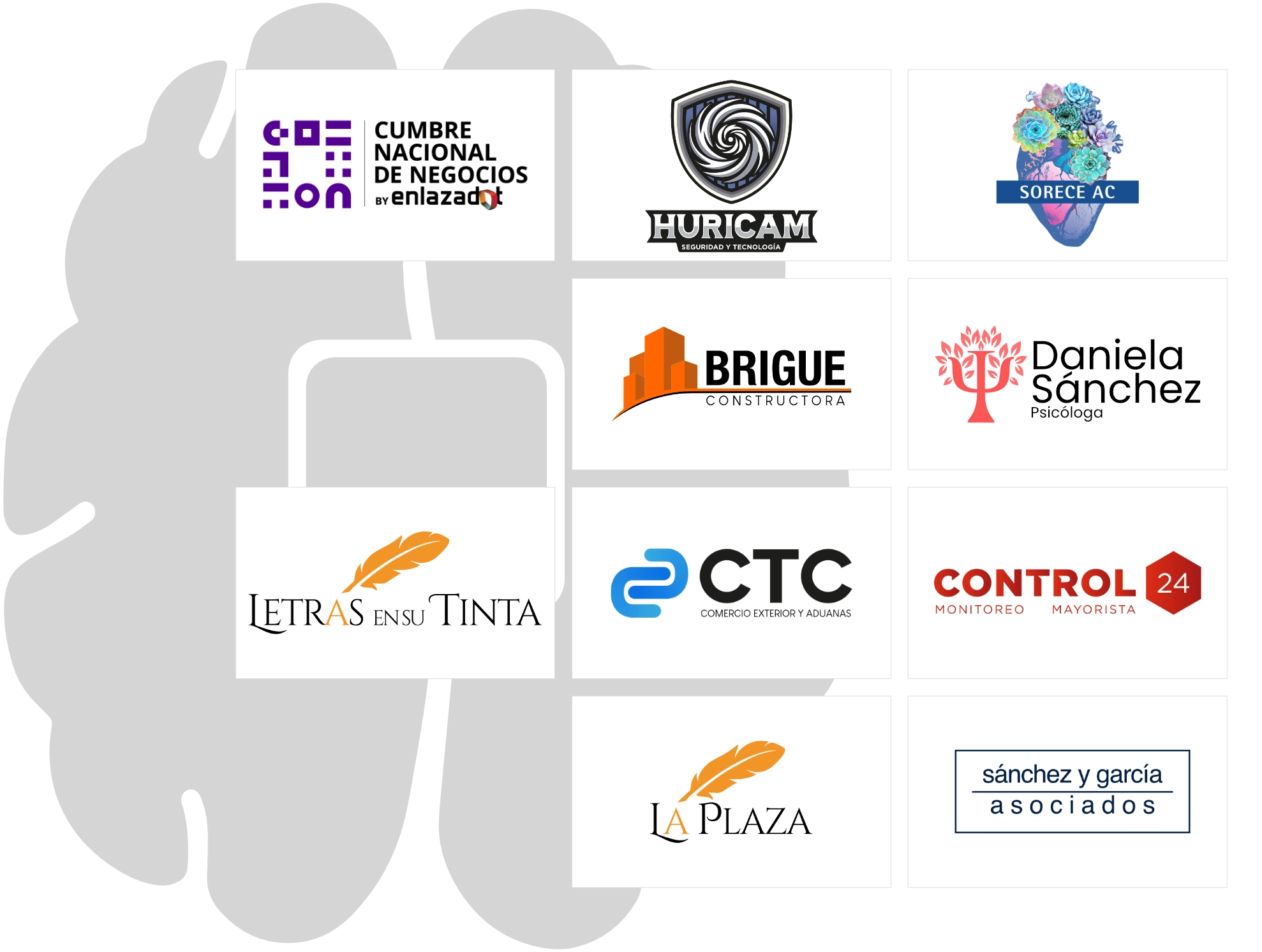 Casos de Éxito Notables: Agencia Digital Querétaro