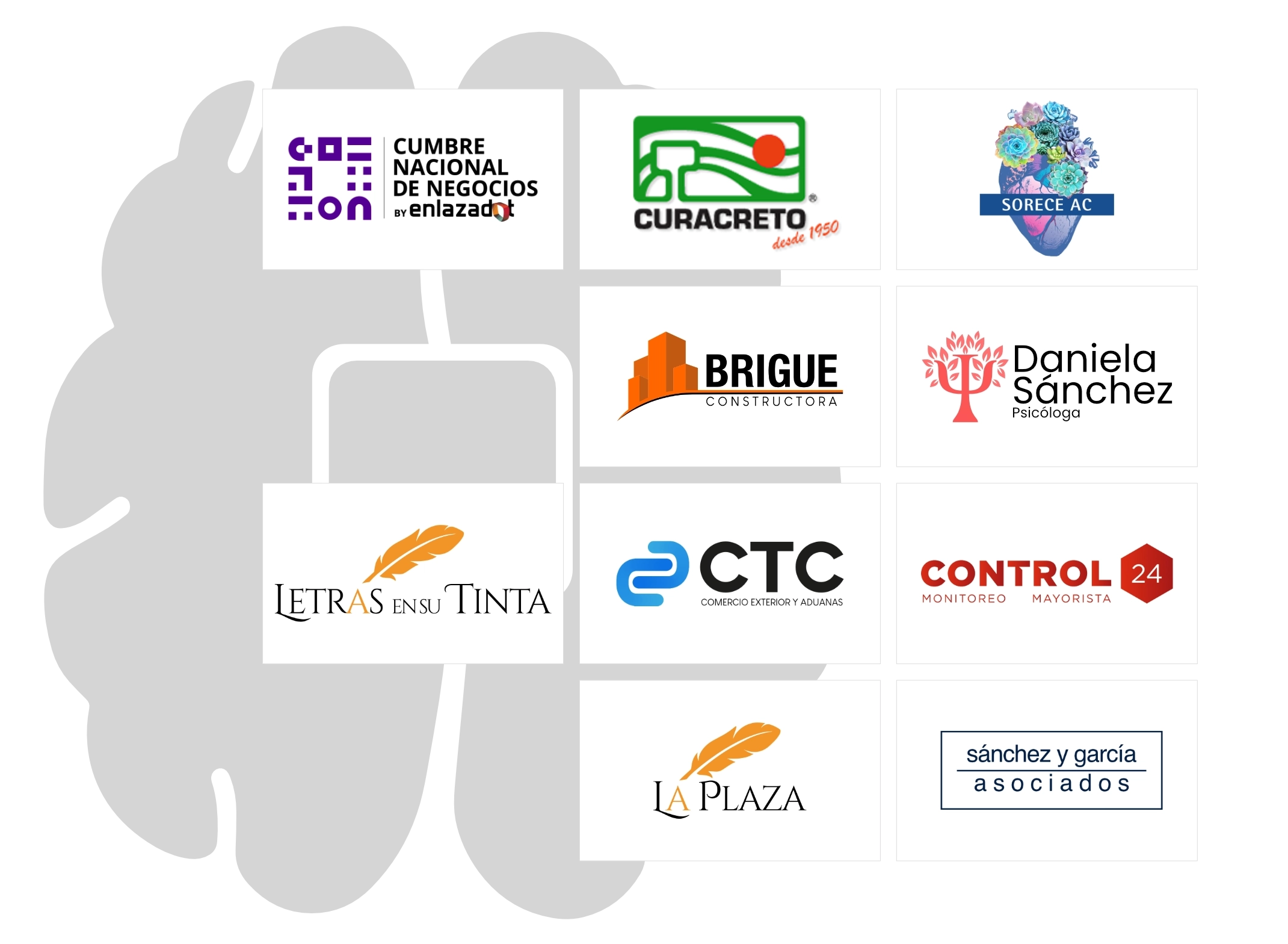 Casos de Éxito Notables: Agencia Digital Querétaro